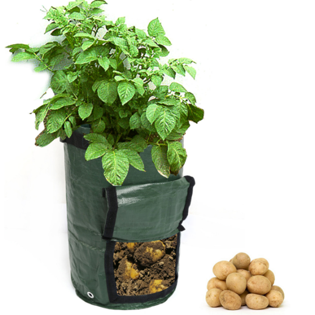 Мешок для выращивания картофеля